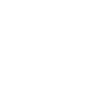 logo codelco Andina version blanco